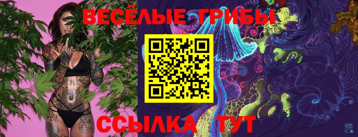 где купить наркоту  Псилоцибиновые грибы GOLDEN TEACHER  Вход с VPN  Егорьевск 
