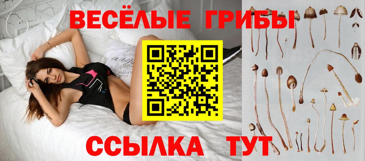 Галлюциногенные грибы MAGIC MUSHROOMS Егорьевск